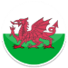 Predictions and betting tips for the Wales vs Turkey football match on November 21, 2023.