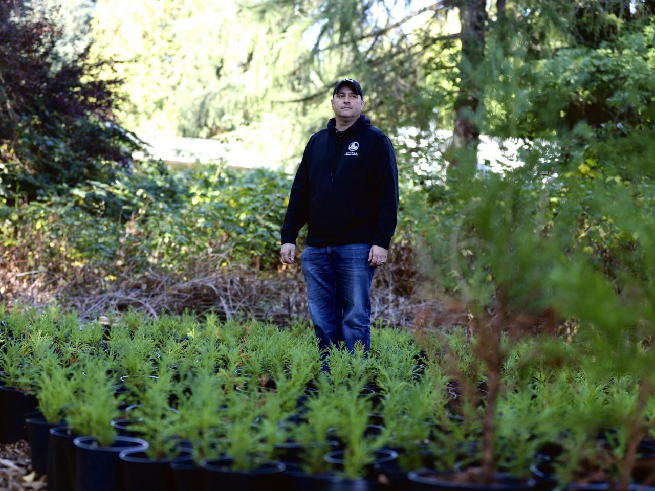 As certain types of trees decrease in numbers, the practice of "assisted migration" is becoming more popular in the Pacific Northwest.