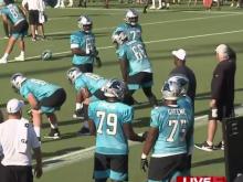 Carolina Panthers kick off training camp