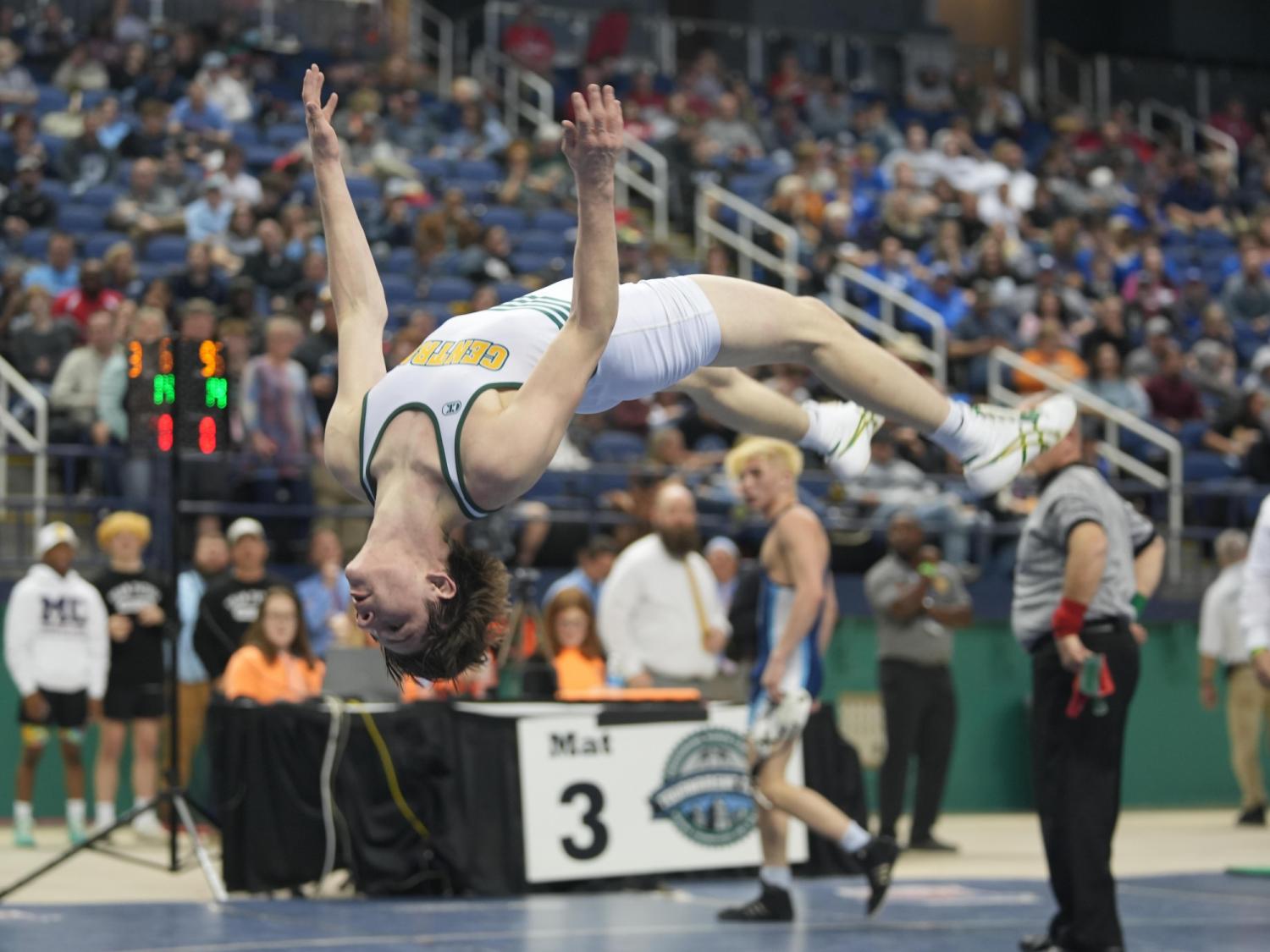 As the state postseason competition approaches, here is a list of the top 14 pound-for-pound male wrestlers.