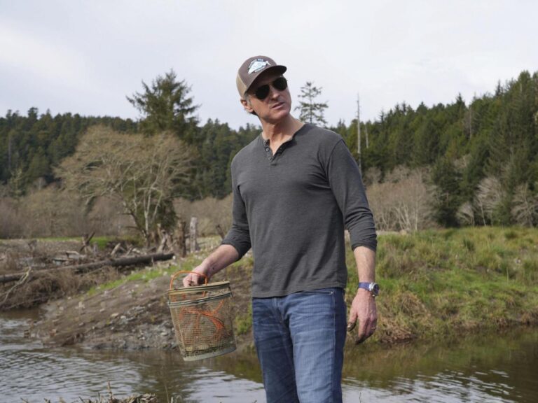 Governor Newsom of California supports the removal of dams to increase salmon populations, but opponents argue that this action is insufficient.