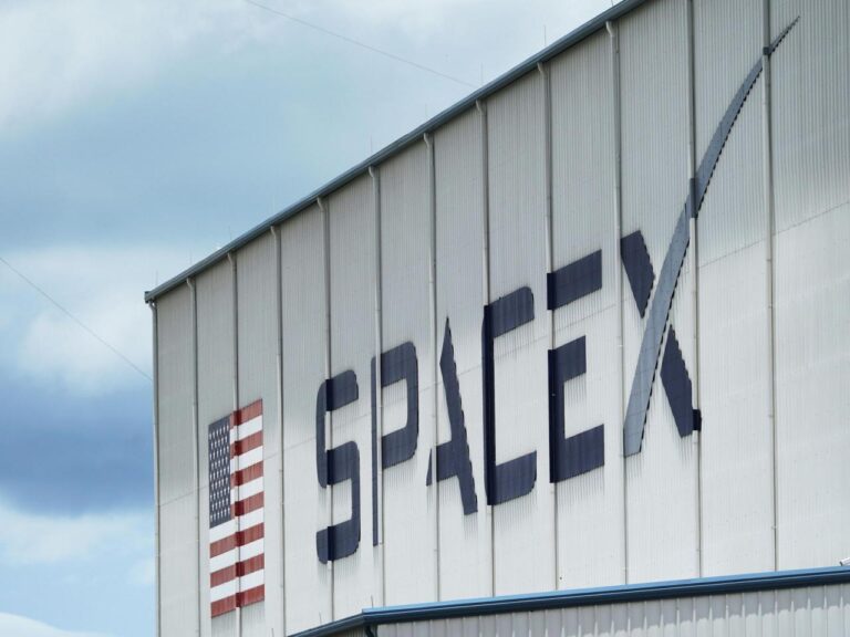 SpaceX has been accused of terminating employees who expressed criticism of CEO Elon Musk, allegedly in violation of labor laws.