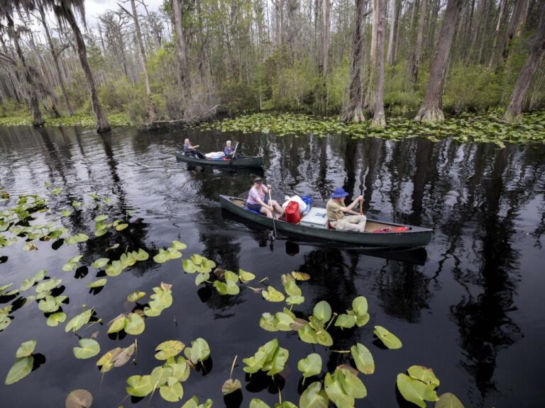 The company planning to extract resources near Okefenokee has agreed to pay $20,000 to resolve accusations of violating environmental regulations.