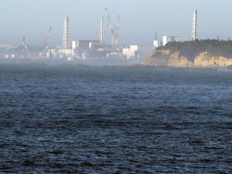 The company responsible for the Fukushima nuclear plant in Japan has stated that there are no new safety issues following the earthquake on January 1st.