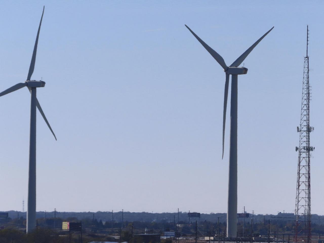 The United States has established strategies to safeguard endangered whales in the vicinity of offshore wind farms, while companies exchange wind lease agreements.