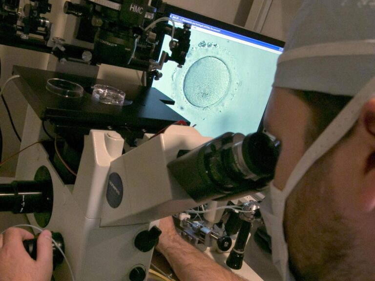 Legislators in Alabama seek a resolution for IVF (in vitro fertilization) as individuals seeking treatment are left in a state of uncertainty.