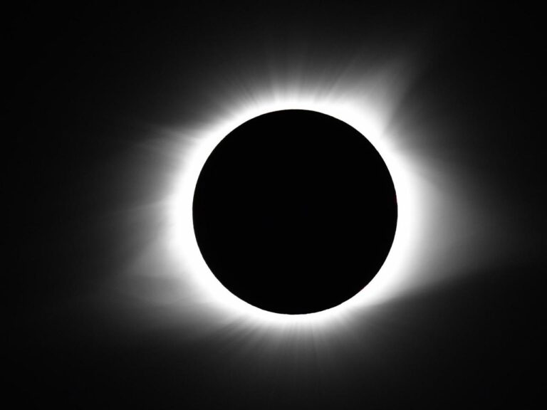 The countdown has started for the total solar eclipse in April. Here is some information about watch parties and how to view it safely.