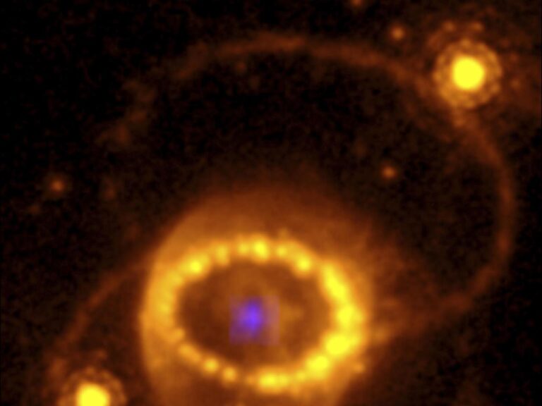 The debris of a famous supernova has been observed by a space telescope, revealing a neutron star.