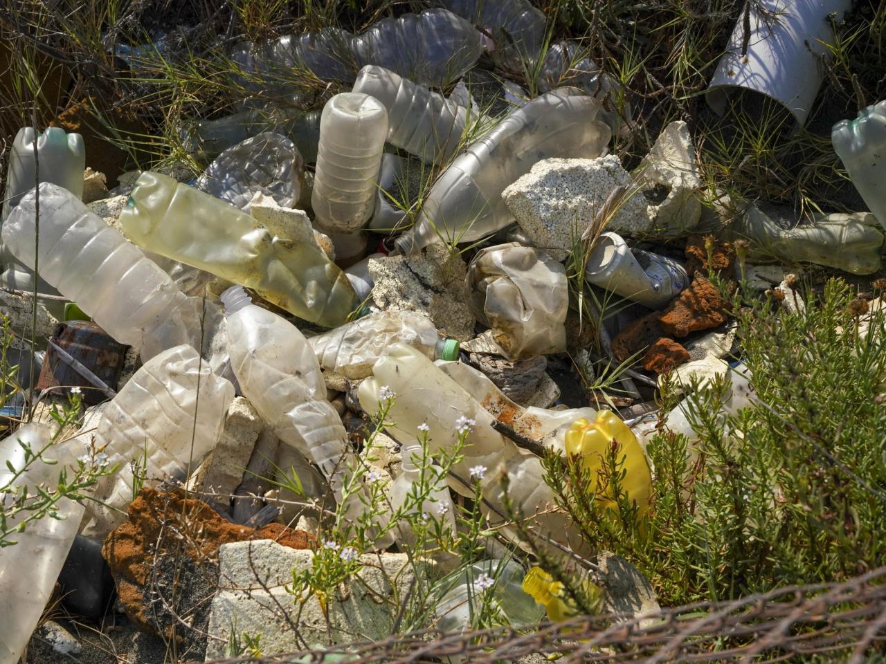 A recent research has raised concerns about how plastic pollution impacts cardiovascular health.