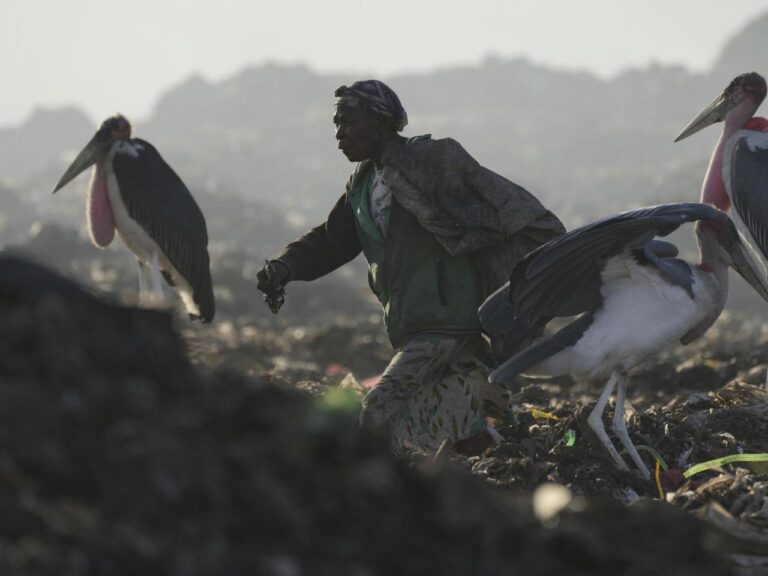 According to the United Nations, discarded electronic devices are producing an increasing amount of electronic waste, and the recycling process is falling behind.