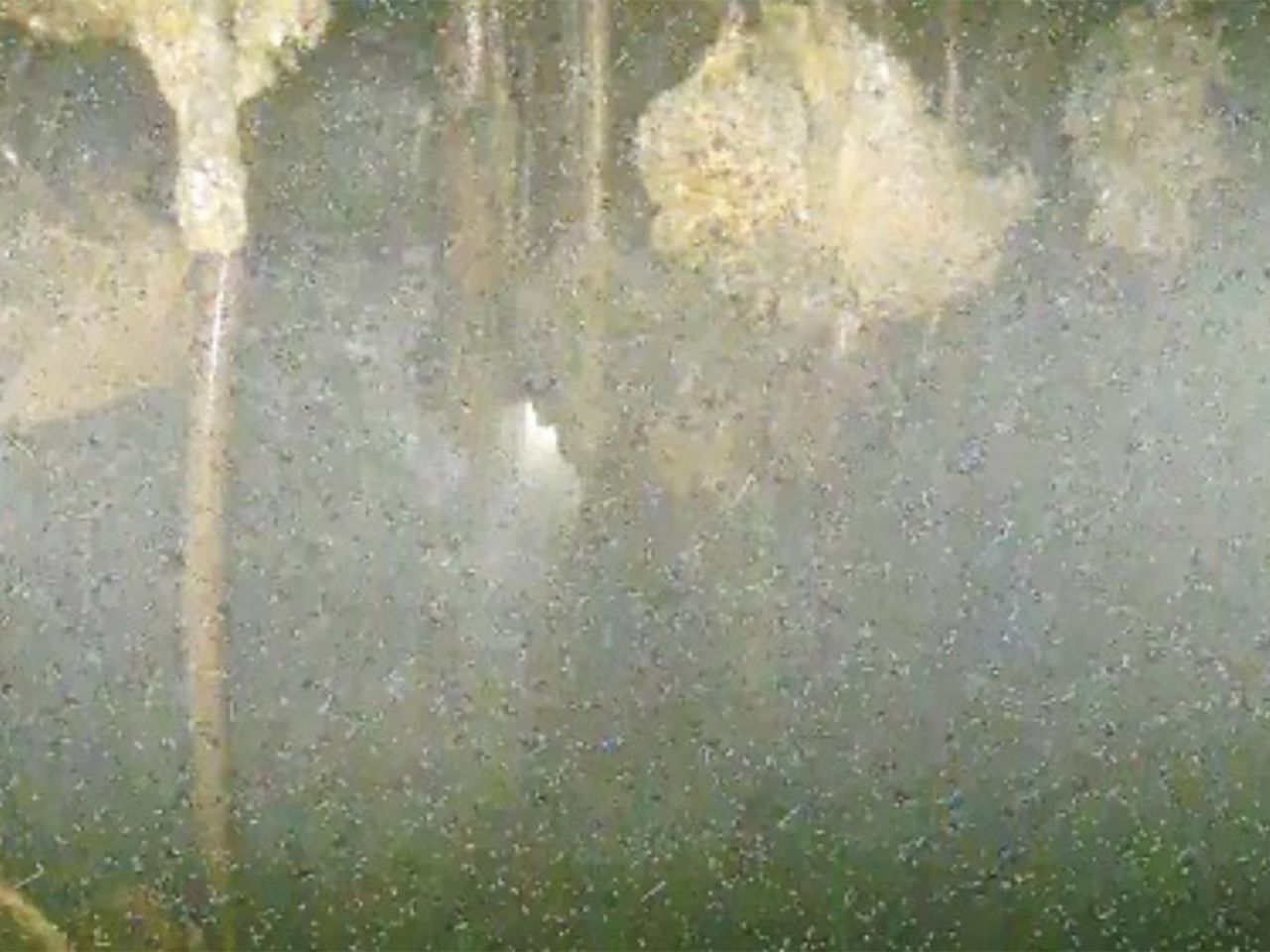 Photographs captured from within the molten Fukushima reactor reveal destruction, yet raise numerous unanswered concerns.