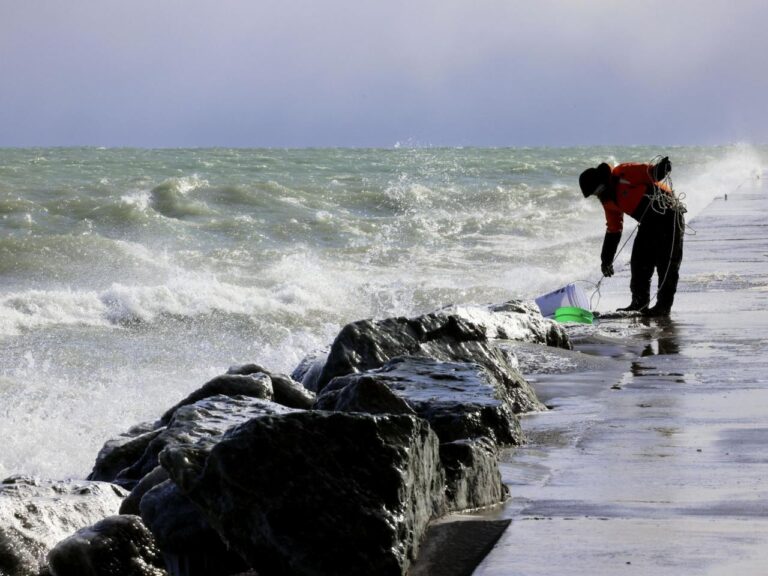 Scientists are investigating the effects of a decrease in Great Lakes ice on fish and algae populations in the past.