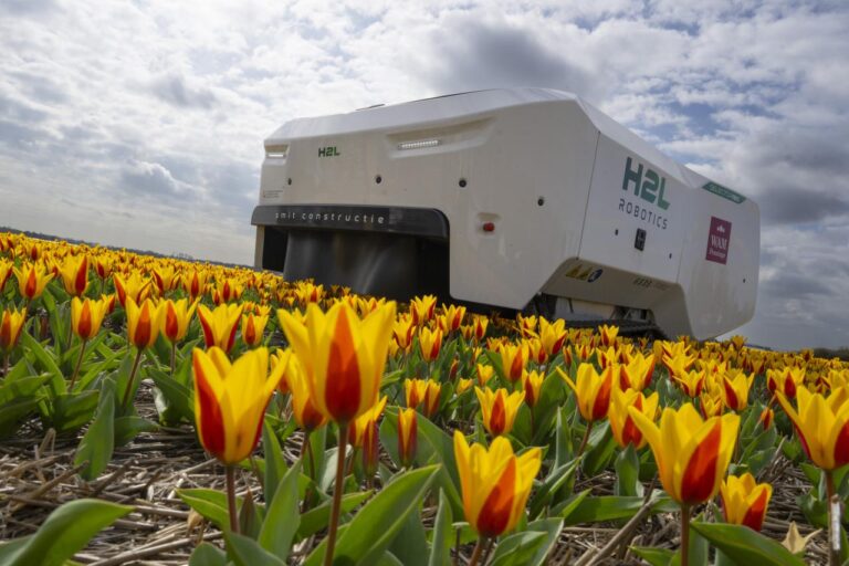 .

The AI robot is identifying diseased tulips in order to prevent the spread of illness in Dutch bulb fields.