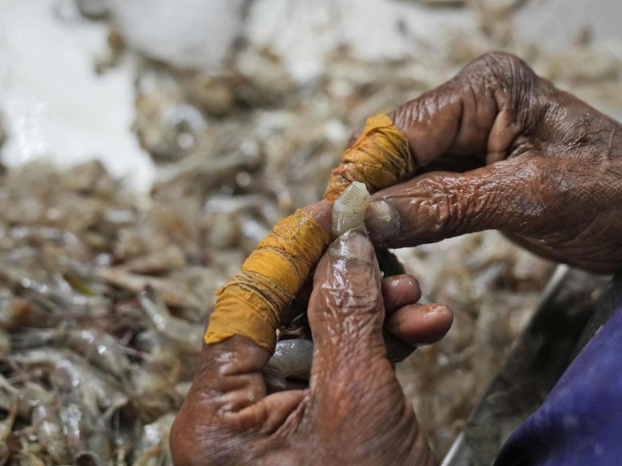 The AP discovers harsh working conditions in the shrimp industry in India, which a report describes as hazardous and exploitative.