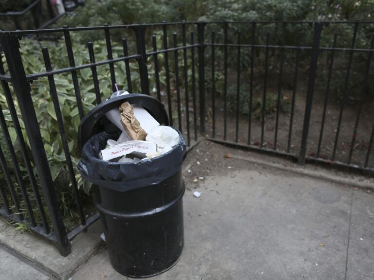 The recent implementation of mandatory trash bins in NYC leaves only the rats lamenting the disappearance of their garbage heaps.