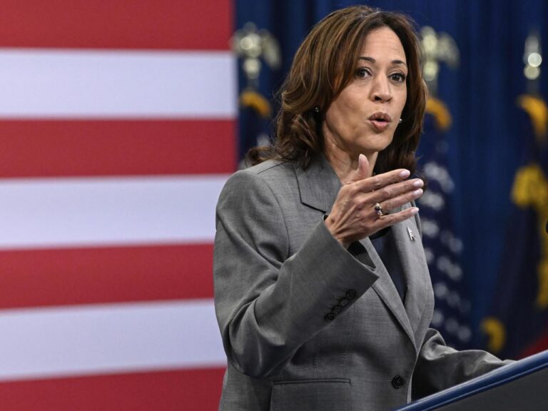 VP Harris says US agencies must show their AI tools aren't harming people's safety or rights