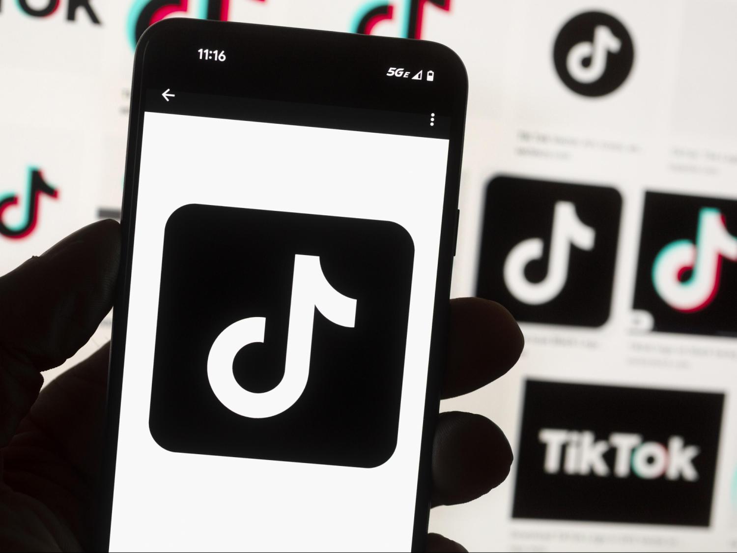 TikTok has promised to sue over the potential US ban. What's the legal outlook?