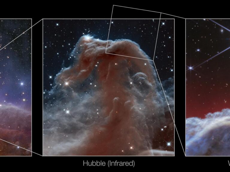 A horse-shaped nebula gets its close-up in new photos by NASA's Webb telescope