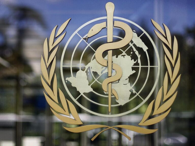 Efforts to draft a pandemic treaty falter as countries disagree on how to respond to next emergency