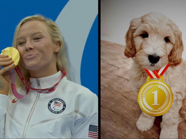 Pets part of the home team cheering on Olypmic athletes :: WRALSportsFan.com