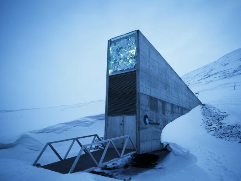 World Food Prize goes to 2 who helped protect vital seeds in an Arctic Circle vault