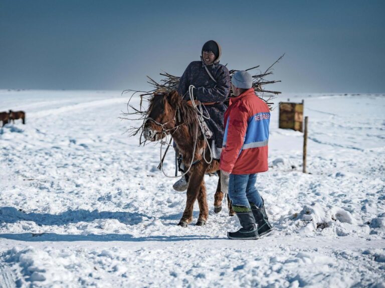 Heavy snows and drought of deadly 'dzud' kill more than 7 million head of livestock in Mongolia