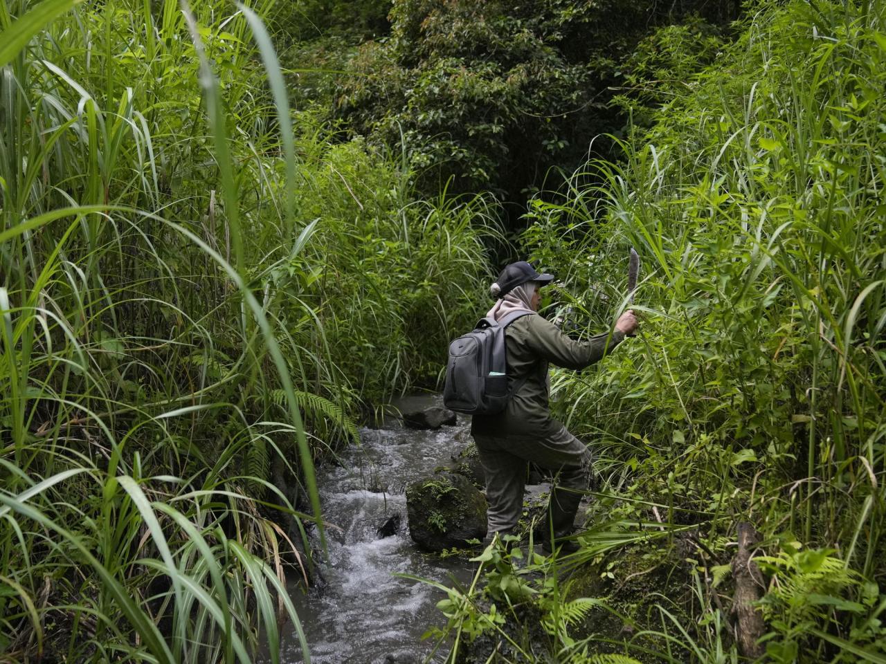 In Indonesia, women ranger teams go on patrol to slow deforestation