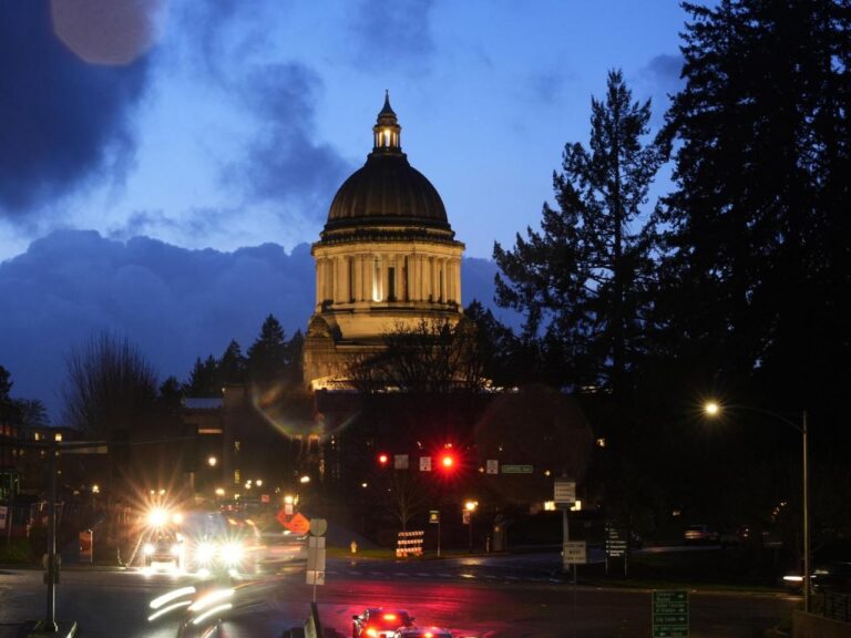 Parts of Washington state parental rights law criticized as a ‘forced outing’ placed on hold