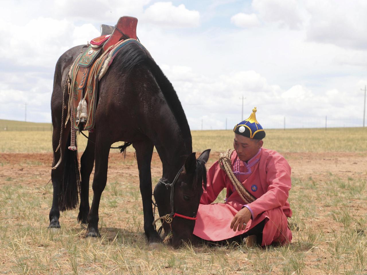 Scientists have traced the origin of the modern horse to a lineage that emerged 4,200 years ago