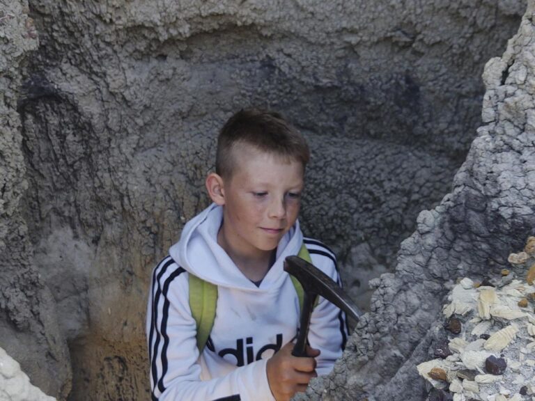 Three boys found a T. rex fossil in North Dakota. Now a Denver museum works to fully reveal it