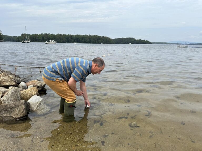 'Tis the season for swimming and bacteria alerts in lakes, rivers