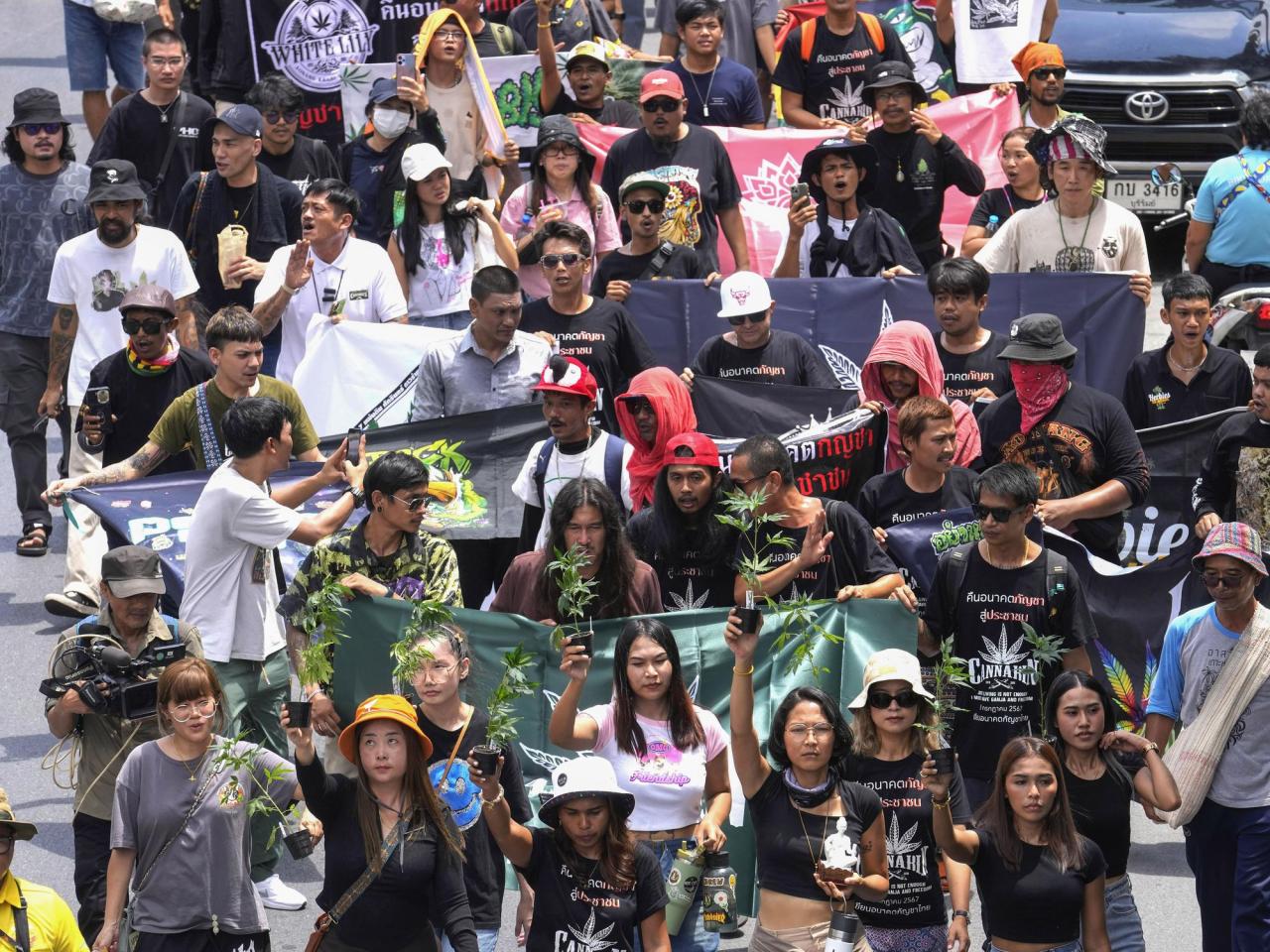 Cannabis advocates in Thailand protest a proposal to ban again its general use