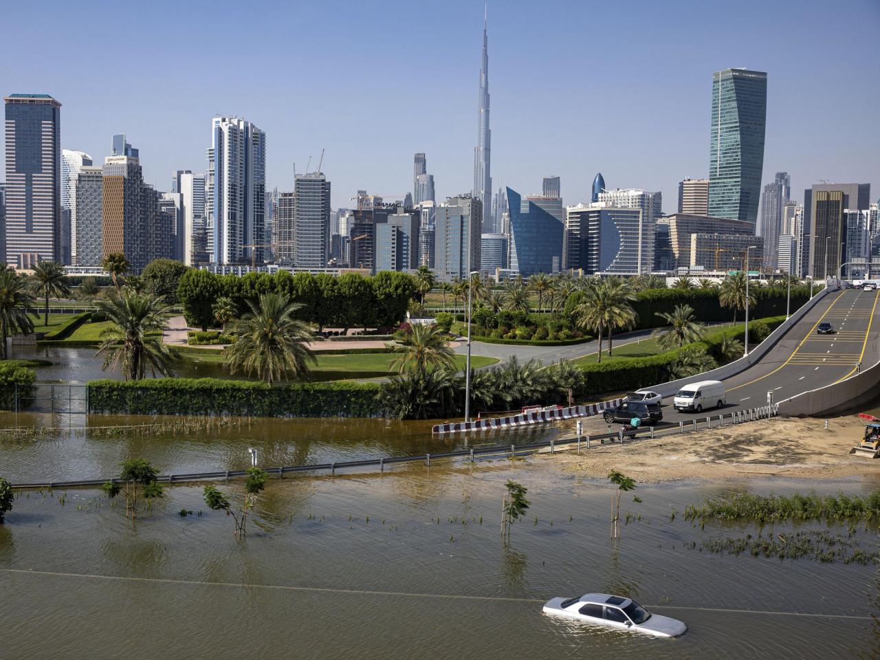 Floods and climate change blamed for surge in dengue in the Emirates as WHO warns of global spike