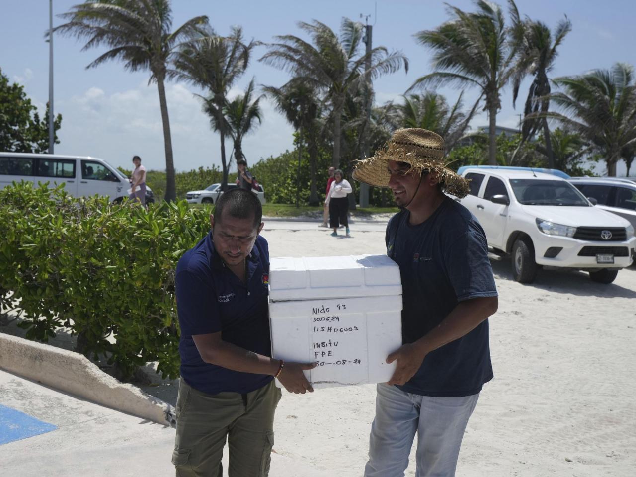 Mexico evacuates even sea turtle eggs from beaches as Hurricane Beryl approaches