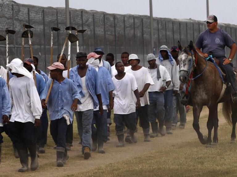 Prisoners fight against working in heat on former slave plantation, raising hope for change in South