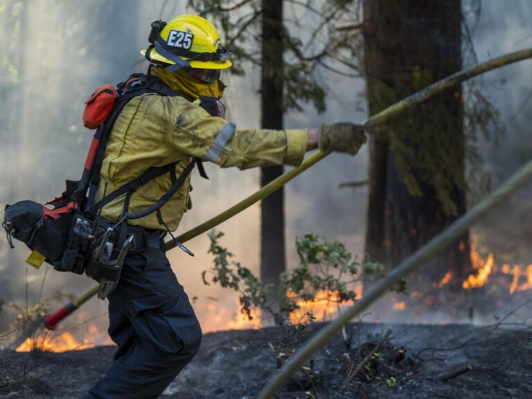 Wildfire smoke may be worse for your brain than other air pollution, study says