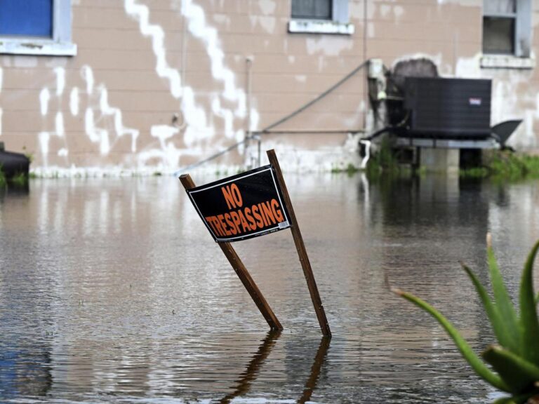 Tropical Storm Debby is expected to send flooding to the Southeast. Here's how much rain could fall