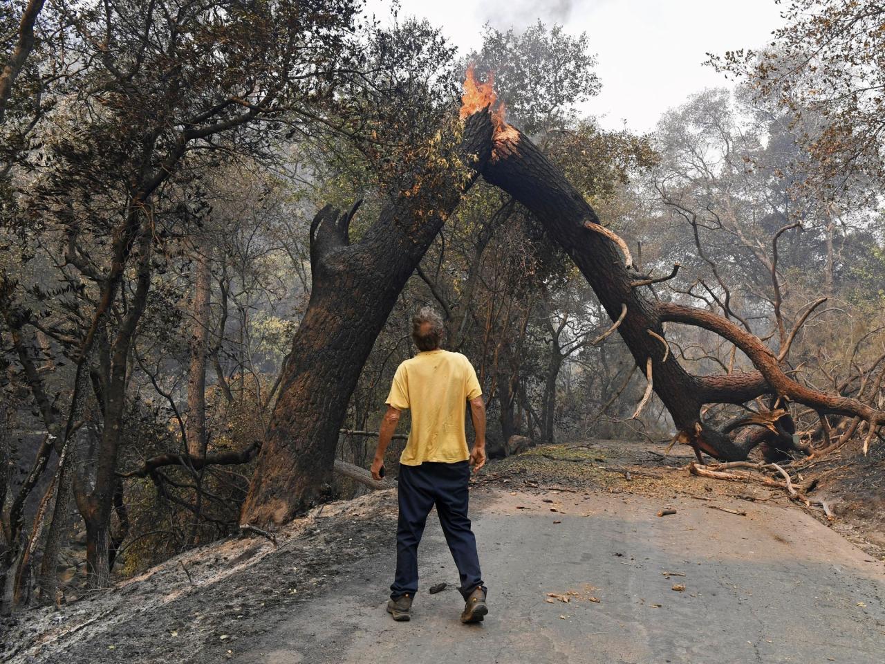 Wildfires are growing under climate change, and their smoke threatens farmworkers, study says