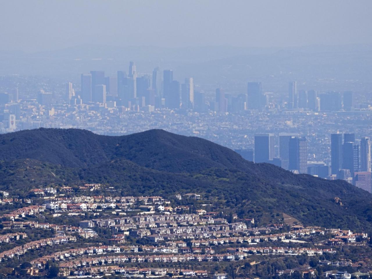 Los Angeles area sees more dengue fever in people bitten by local mosquitoes