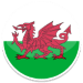 Wales vs Turkey Prediction & Betting Tips | 06/09/2024 | Football