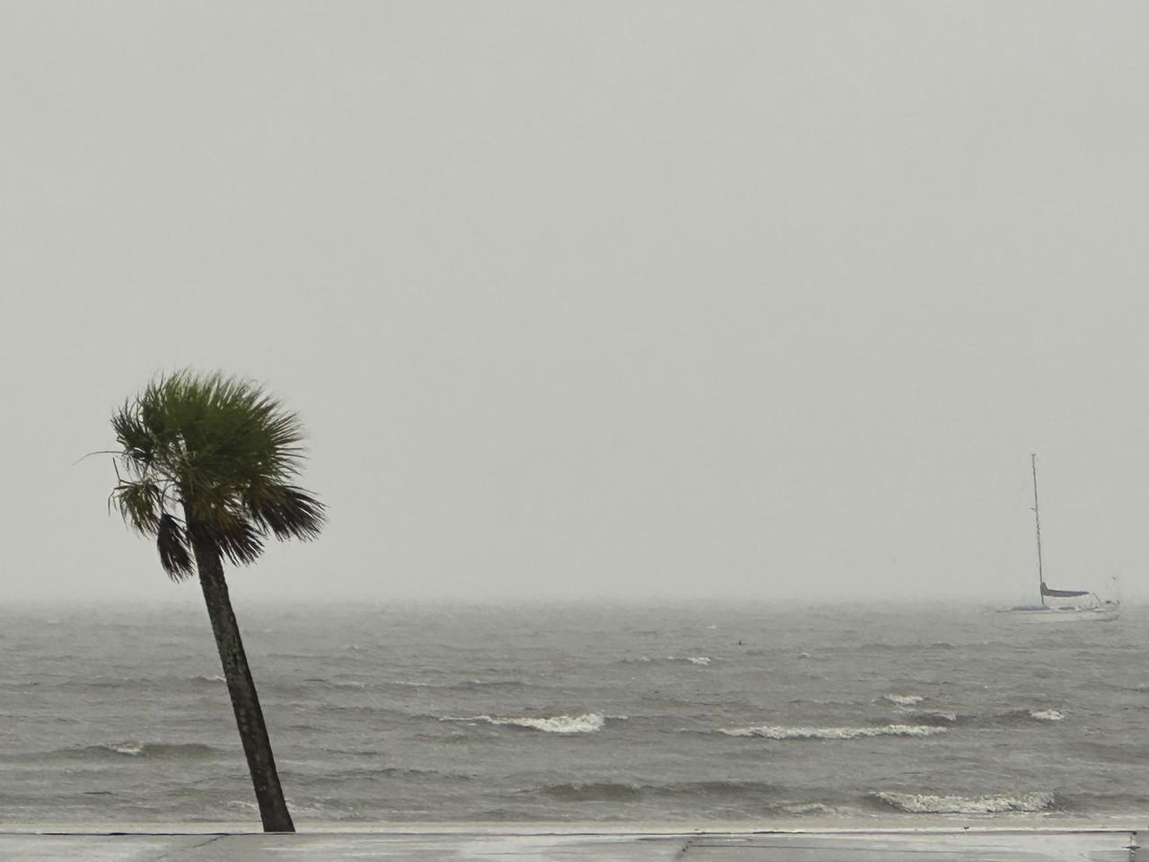 Warm oceans strengthened Hurricane Francine and could power more Fall storms