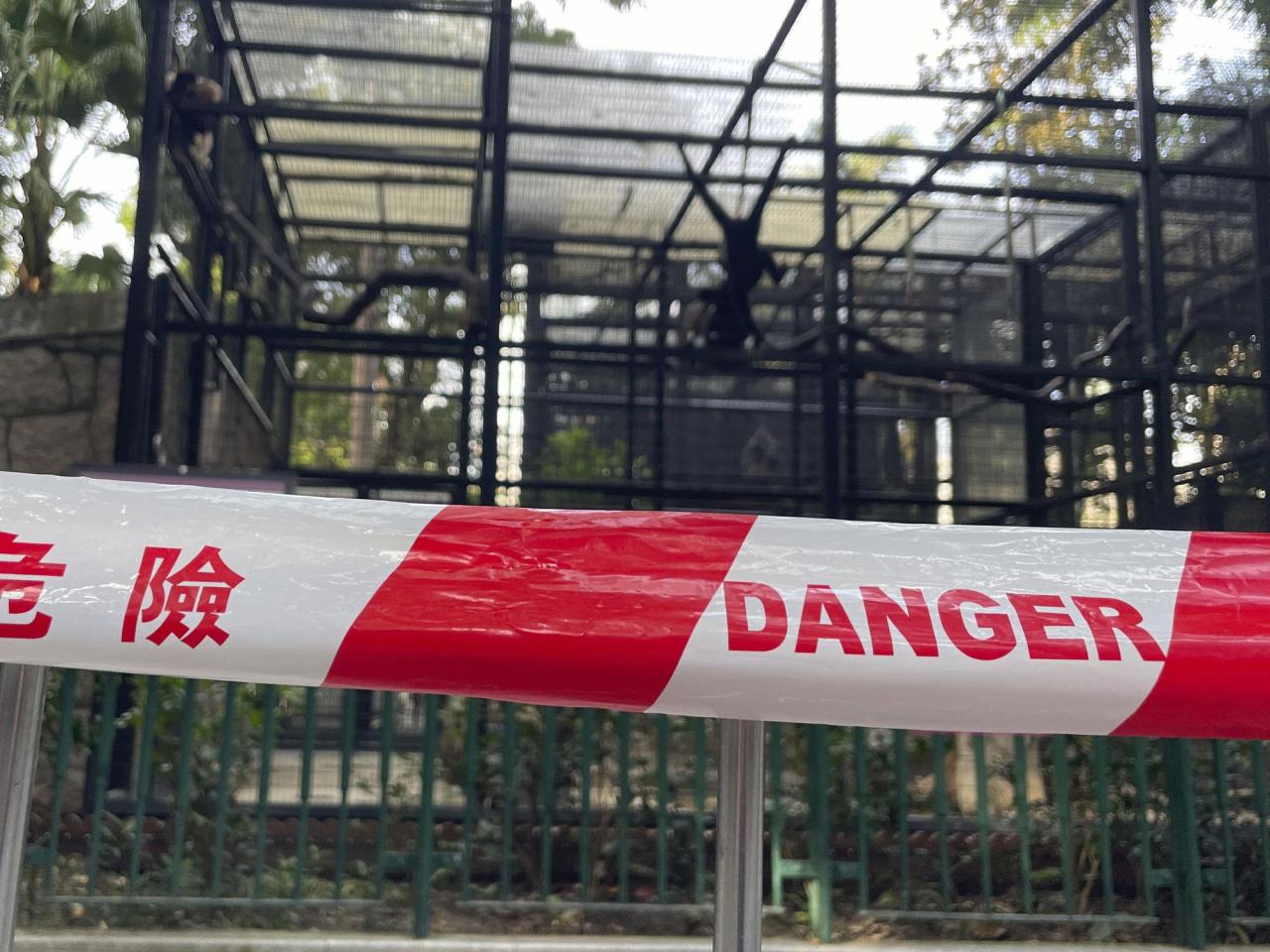 A Hong Kong zoo seeks answers after 9 monkeys die in 2 days