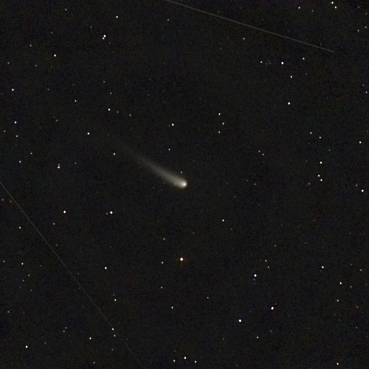 A rare comet brightens the night skies in October