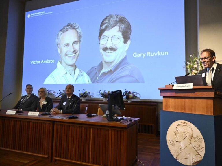 Nobel Prize in medicine honors American duo for their discovery of microRNA