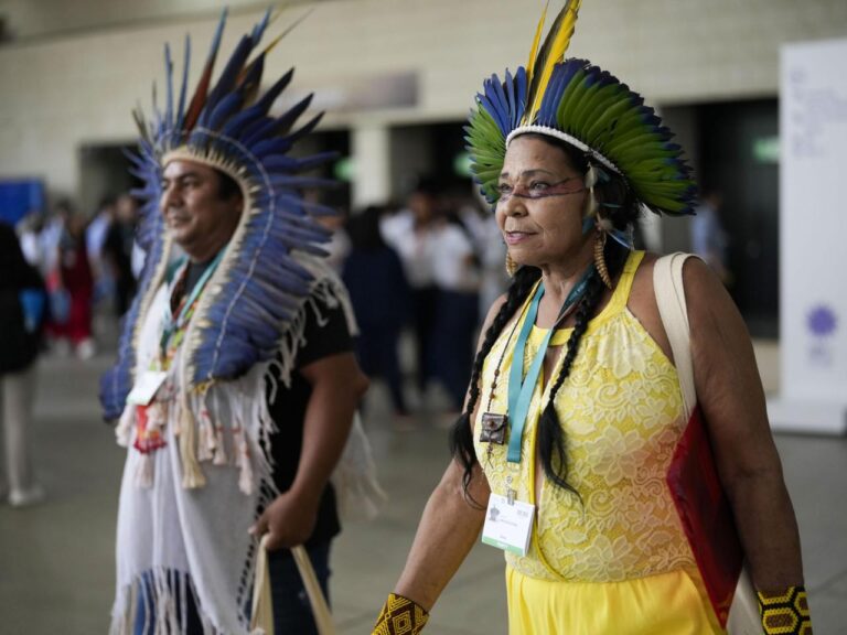 At U.N. summit, historic agreement to give Indigenous groups voice on nature conservation decisions