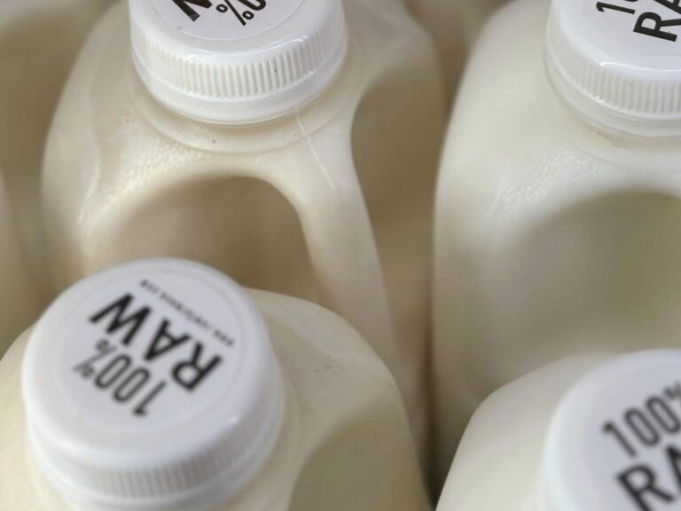 Bird flu virus was found in raw milk. What to know about the risks