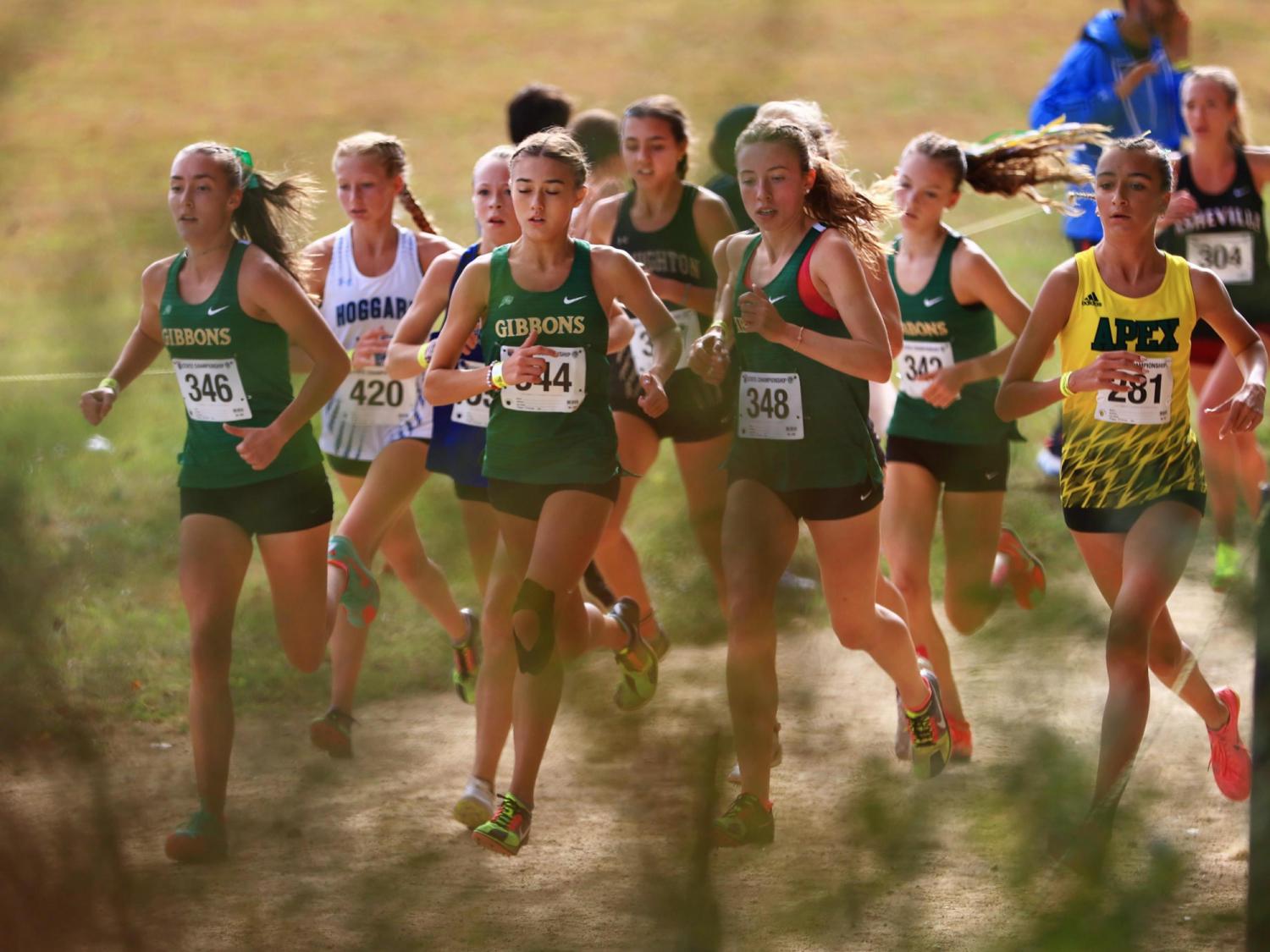 Cardinal Gibbons repeats as 4A girls cross country champion; Asheville's Sofi Alexander wins individual title