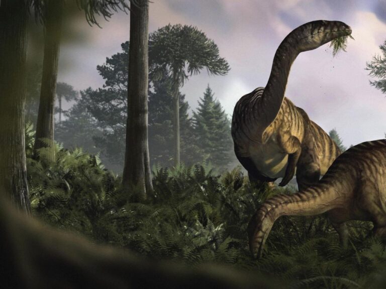 Fossilized dinosaur feces and vomit help scientists reconstruct the creatures' rise