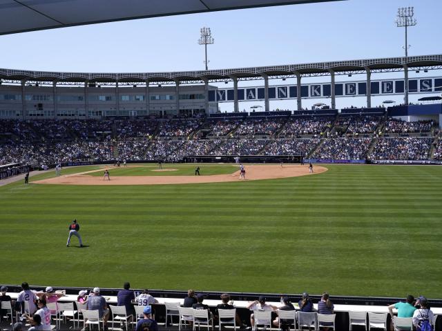 Hurricane-stricken Tampa Bay Rays to play 2025 season at Yankees' spring training field in Tampa :: WRALSportsFan.com