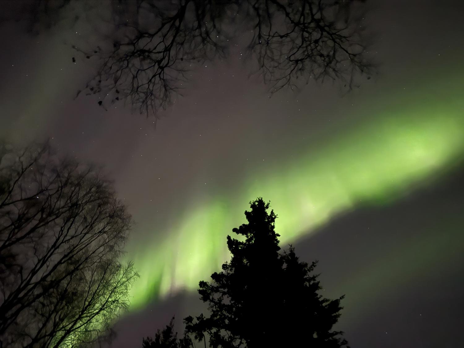 Northern lights may be faintly visible across parts of the US this Thanksgiving